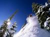 Dropping Into Powder, Bridger Bowl, Montana